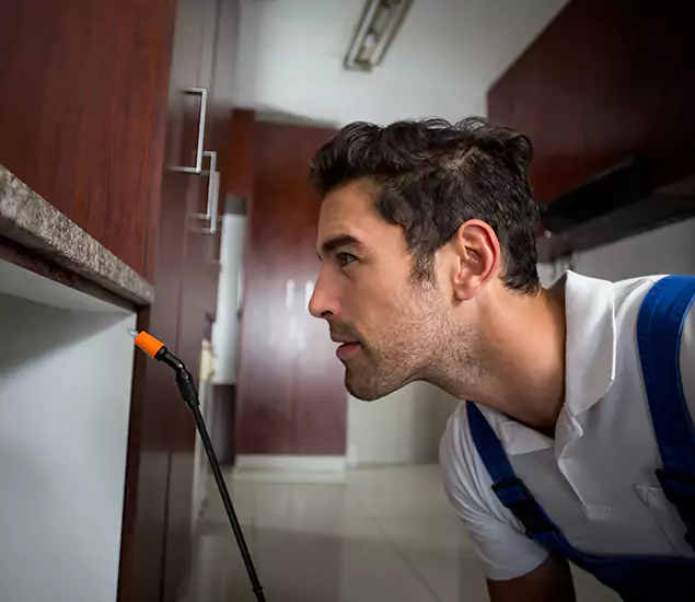 Expert Rodent in Attic Removal: Your Proven Pest Specialists in Albany, OR