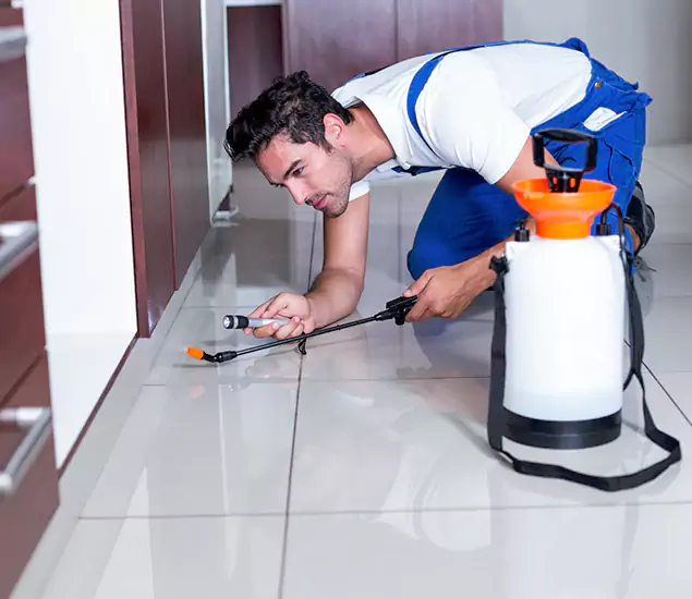 Advanced Slab Termite Treatment Experts You Can Trust&nbsp;in Albany, OR