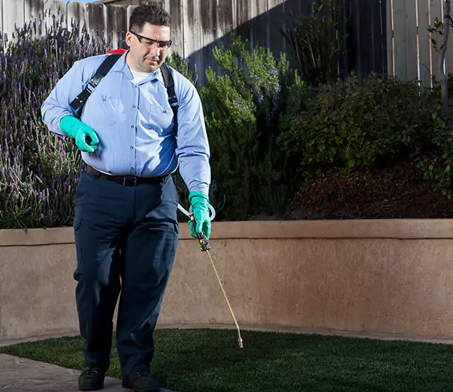 Reliable Termite Barrier Treatment Experts in Albany, OR