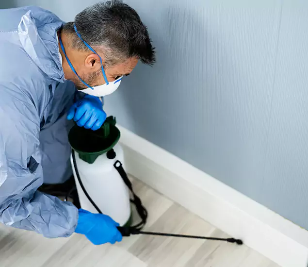 Reliable Termite Cost Experts in Albany, OR