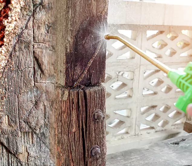 About Wood Termite Treatment Services in Albany, OR