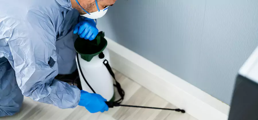 Fumigate Apartment Roaches in Albany
