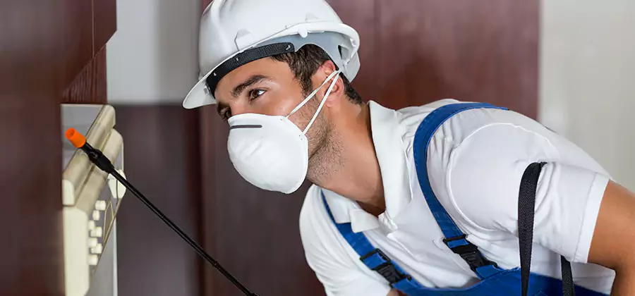 Injection Foam Treatment for Drywood Termites in Albany