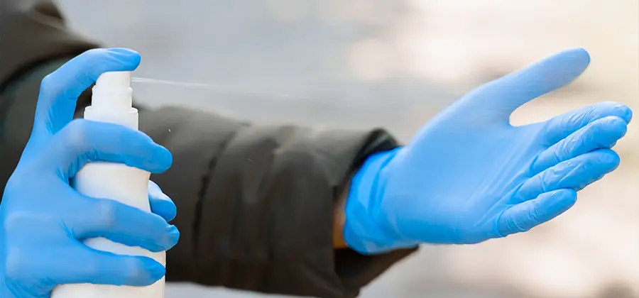 Office Emergency Bed Bug Removal in Albany