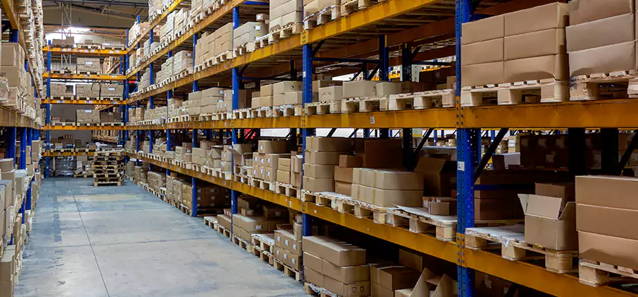 Warehouse Pest Control in Albany