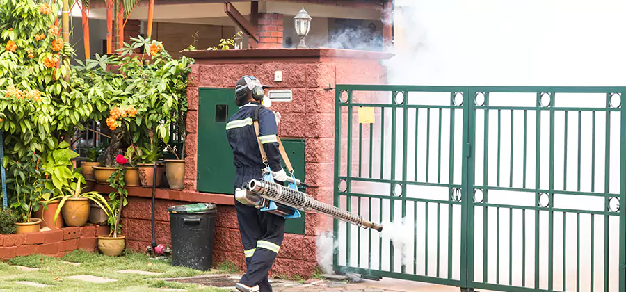 Backyard Mosquito Foggers Service in Albany