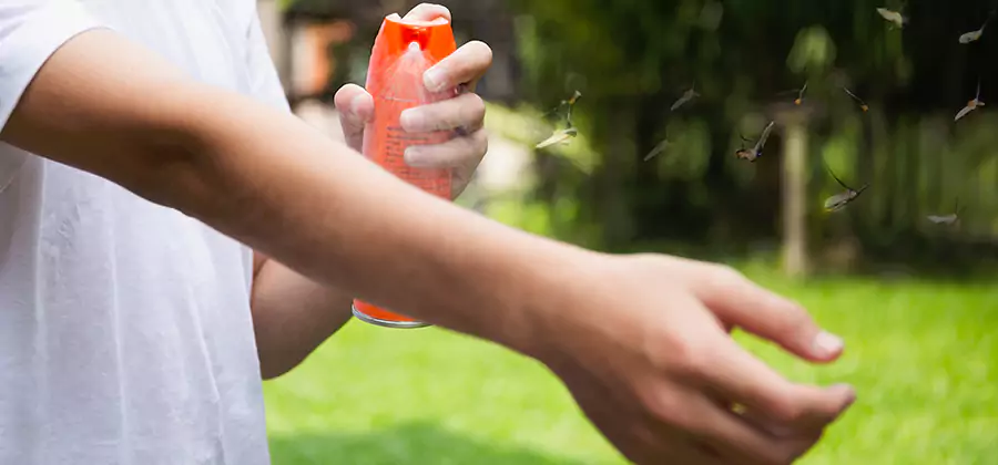 Mosquito and Tick Control Services in Albany