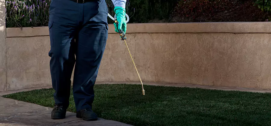 Soil Treatment for New Construction Termites in Albany