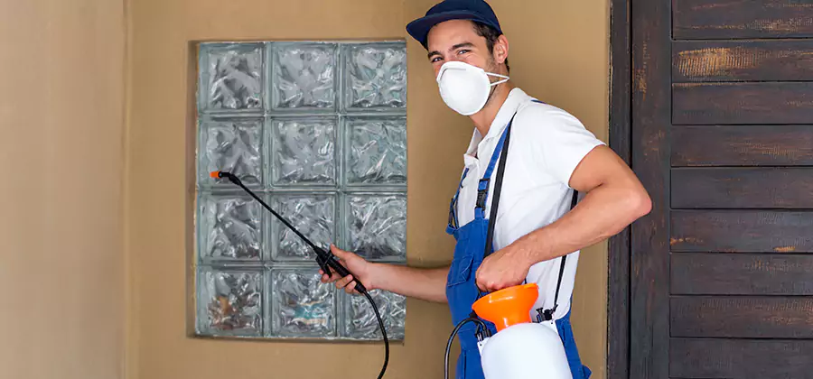 Physical Termite Barrier Installation in Albany