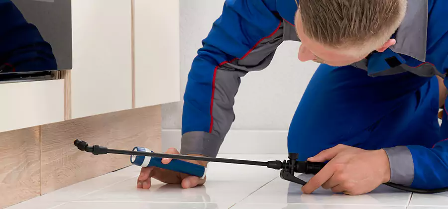 Moisture Treatment For Termite Control Service in Albany