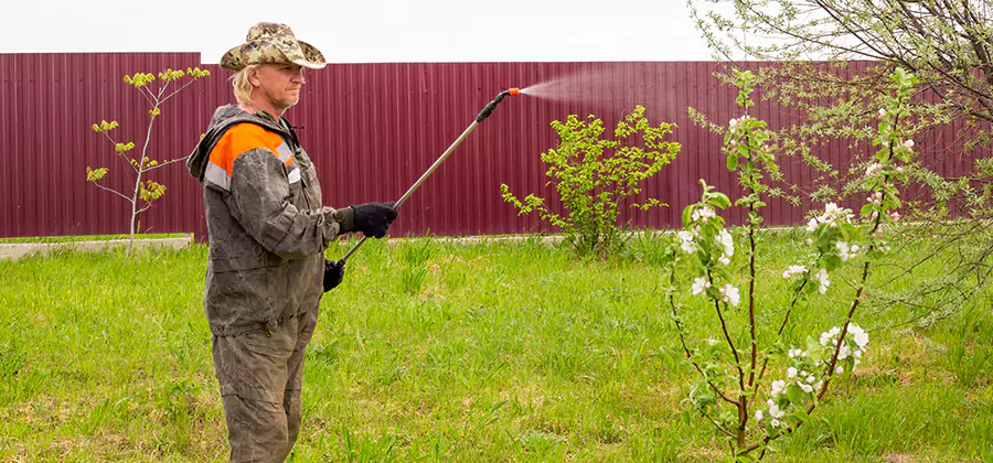 Flea and Tick Spray for Yard in Albany