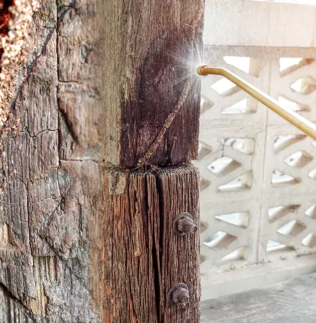Why Choose Fair Pest Control Albany for Attic Termite Treatment in Albany, OR?