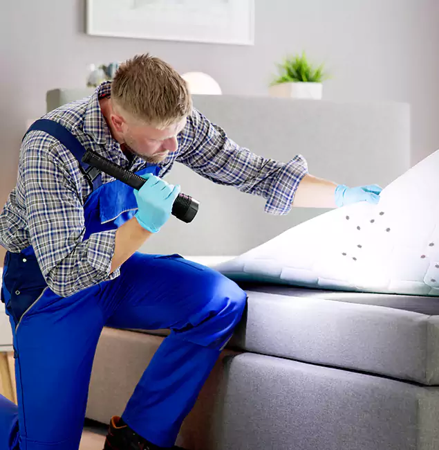 Why Choose Fair Pest Control Albany for Bed Bug Exterminator Cost in Albany, OR?