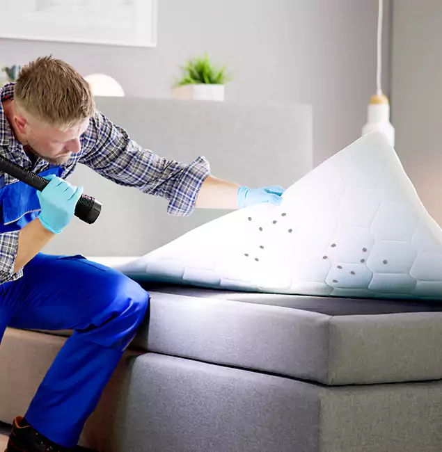 Why Choose Fair Pest Control Albany in Albany, OR?