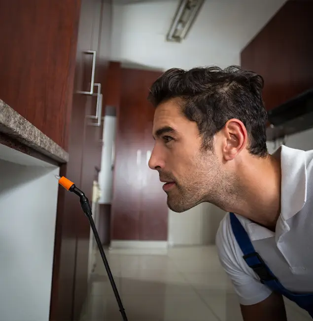 Why Choose Fair Pest Control Albany for Bed Bug Removal Cost in Albany, OR?