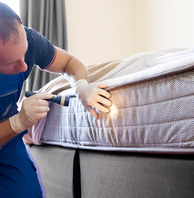 Why Choose Fair Pest Control Albany for Bed Bug Services in Albany, OR?
