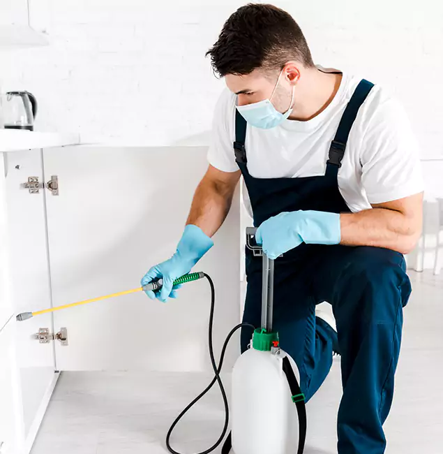 Why Choose Fair Pest Control Albany for Emergency Pest Control in Albany?