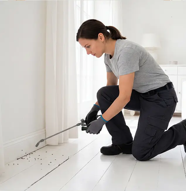 Why Albany, OR Property Owners Trust Fair Pest Control Albany for Fire Ant Control?