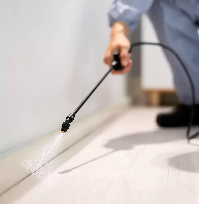 Why Choose Fair Pest Control Albany for Termite Treatment in Albany, OR?