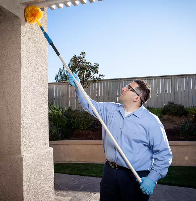 Why Choose Fair Pest Control Albany for Foundation Termite Treatment in Albany, OR?