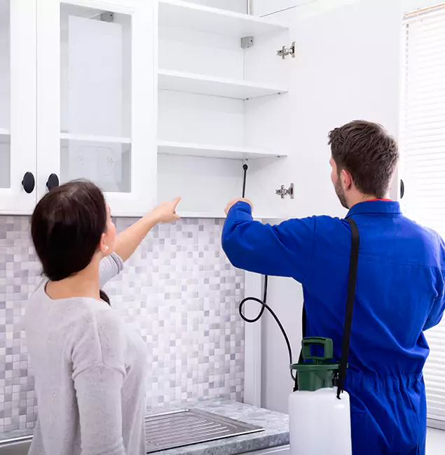 Why Albany Property Owners Choose Fair Pest Control Albany for Ground Bee Removal?