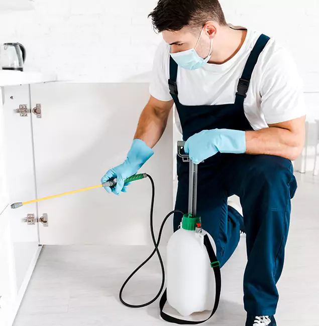 Why Choose Fair Pest Control Albany for Indoor Pest Control in Albany, OR?