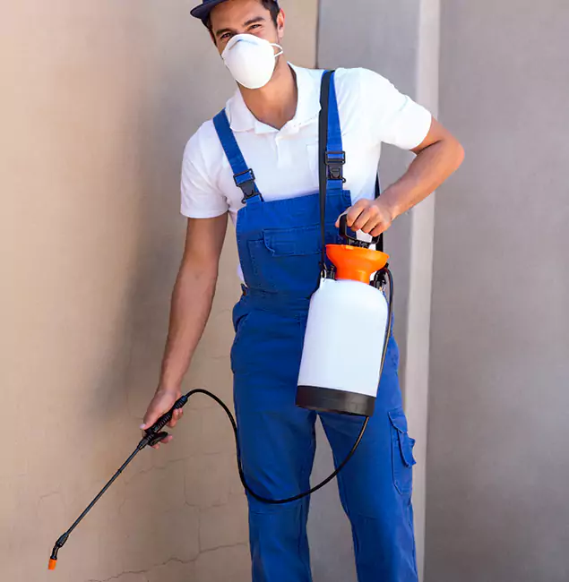What Makes Fair Pest Control Albany the Right Choice in Albany, OR?