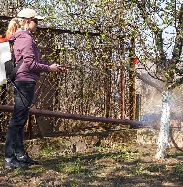 Why Albany Homeowners Choose Fair Pest Control Albany for Mosquito Abatement?