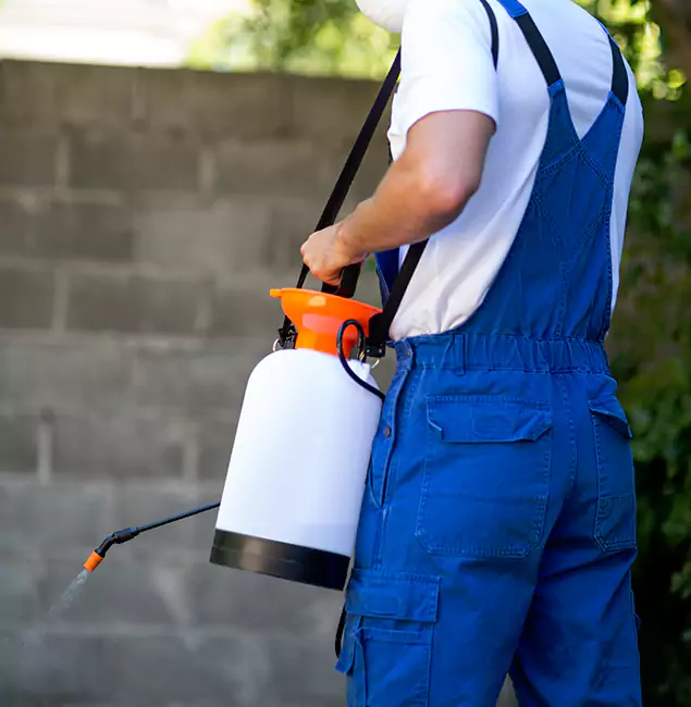 Why Albany Homeowners Rely on Fair Pest Control Albany for Mosquito Control?