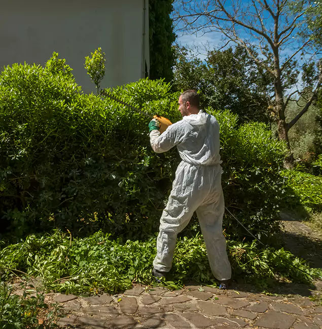 Why Fair Pest Control Albany Leads Mosquito Control in Albany, OR?