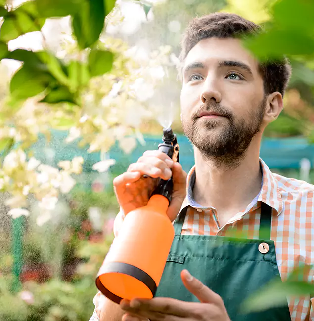 Why Fair Pest Control Albany Is the Best Mosquito Control Company in Albany, OR?