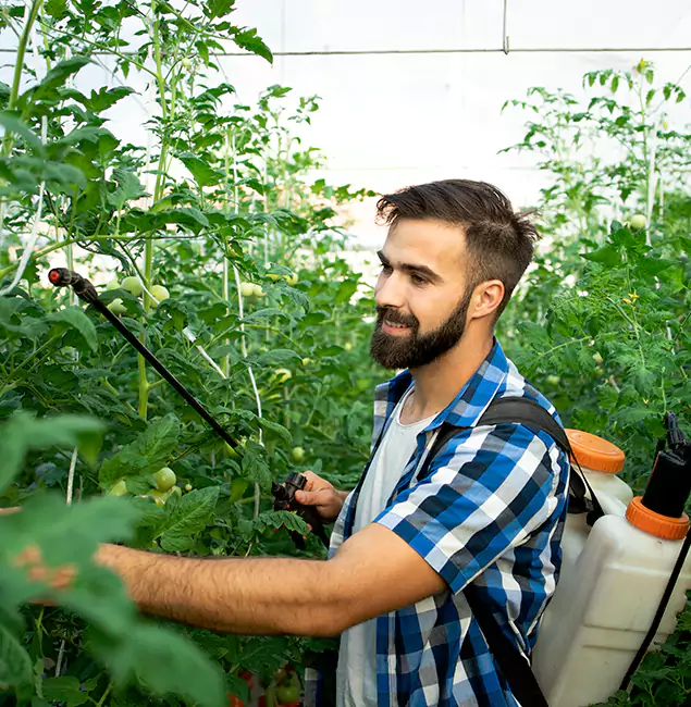Why Albany Homeowners Choose Fair Pest Control Albany for Mosquito Spraying?