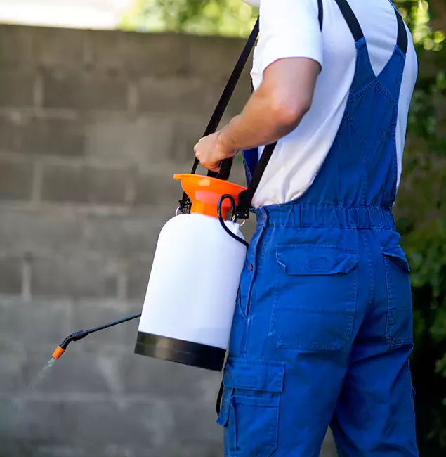 Why Fair Pest Control Albany Delivers the Best Mosquito Control in Albany, OR?