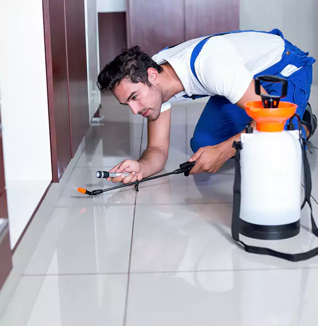 Why Fair Pest Control Albany Is the Proven Choice in Albany, OR?