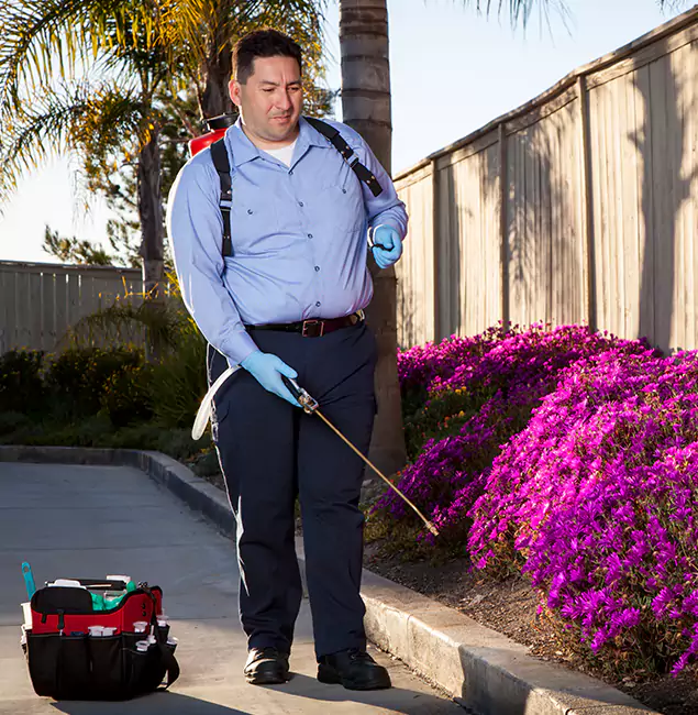 Why Choose Fair Pest Control Albany in Albany, OR?