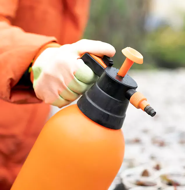 Why Choose Fair Pest Control Albany for Orange Termite Treatment in Albany, OR?