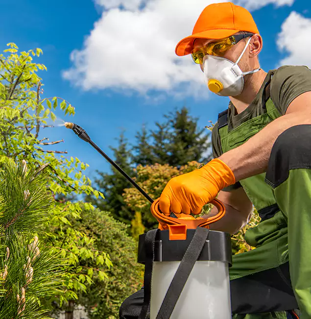 Why Choose Fair Pest Control Albany for Outdoor Pest Control in Albany, OR?