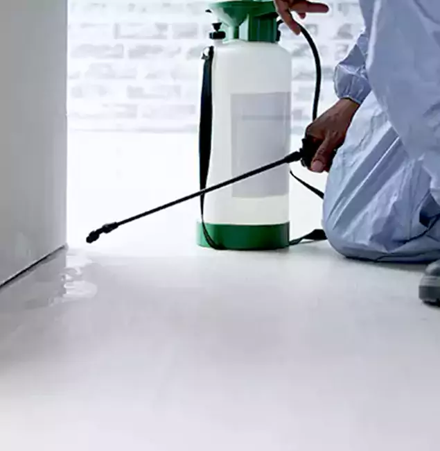 Why Choose Fair Pest Control Albany for Rat Exterminator in Albany, OR?