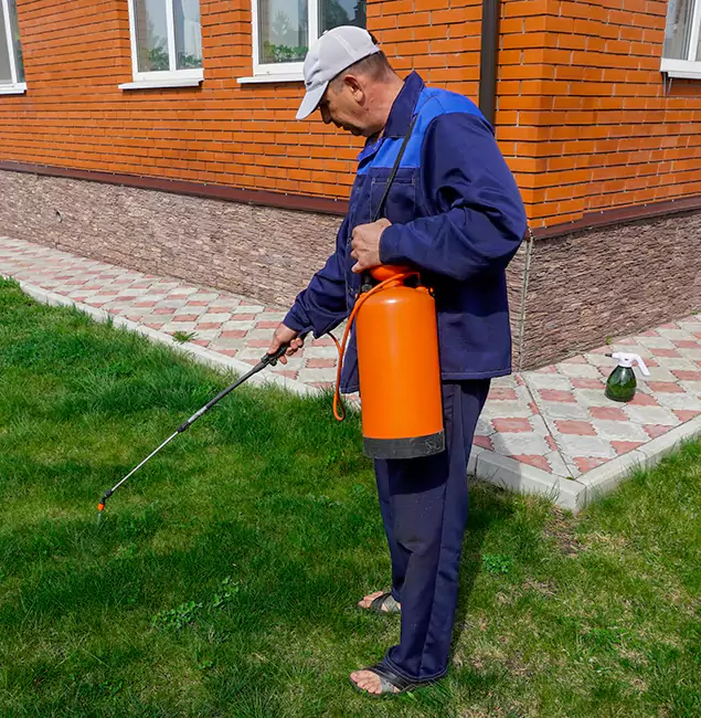 Why Choose Fair Pest Control Albany for Residential Pest Control in Albany, OR?
