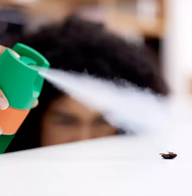 Why Albany, OR Homeowners Choose Fair Pest Control Albany for Roach Pest Control?