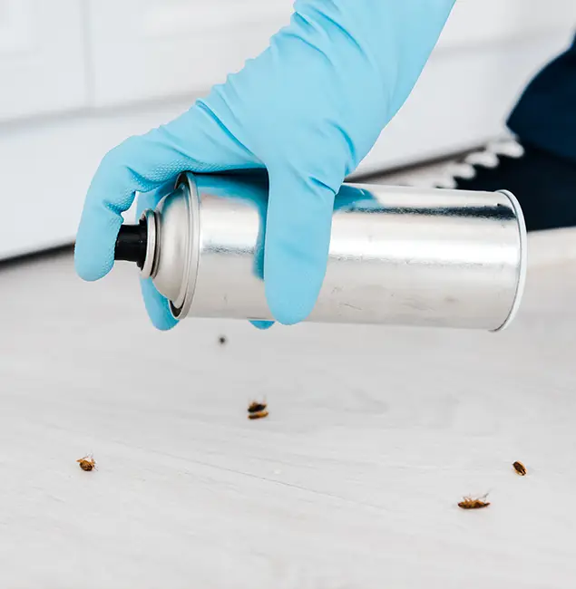 Why Choose Fair Pest Control Albany for Safe Bed Bug Treatment in Albany, OR?