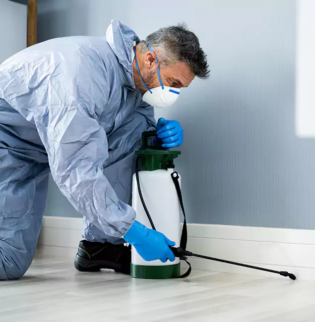 Why Choose Fair Pest Control Albany for Subterranean Termites Treatment in Albany, OR?