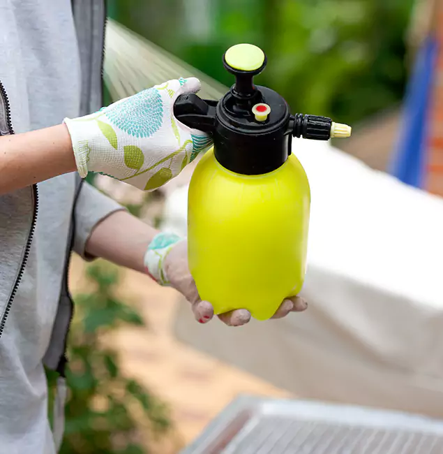 Why Choose Us: Fair Pest Control Albany Termite Spraying Experts in Albany, OR?