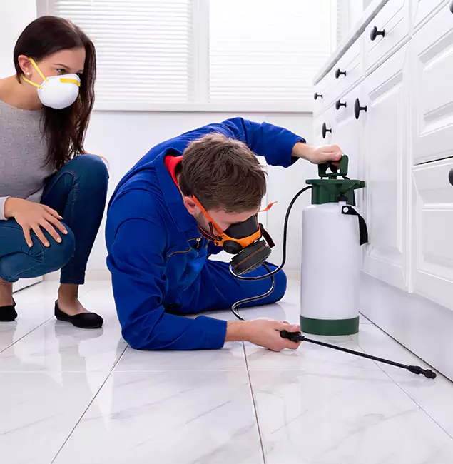 Why Choose Wood Termite Treatment by Fair Pest Control Albany in Albany, OR?