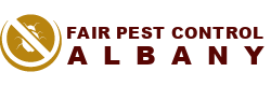 Fair Pest Control Albany