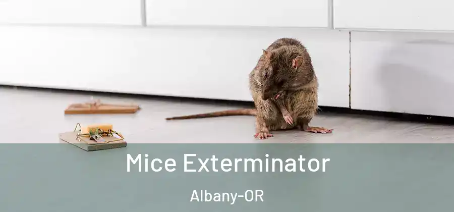  Mice Exterminator Albany-OR