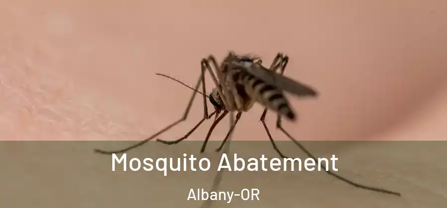 Mosquito Abatement Albany-OR