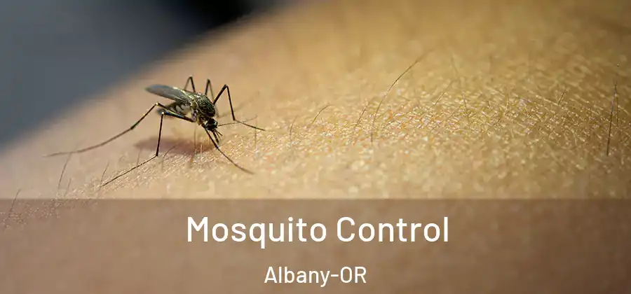  Mosquito Control Albany-OR