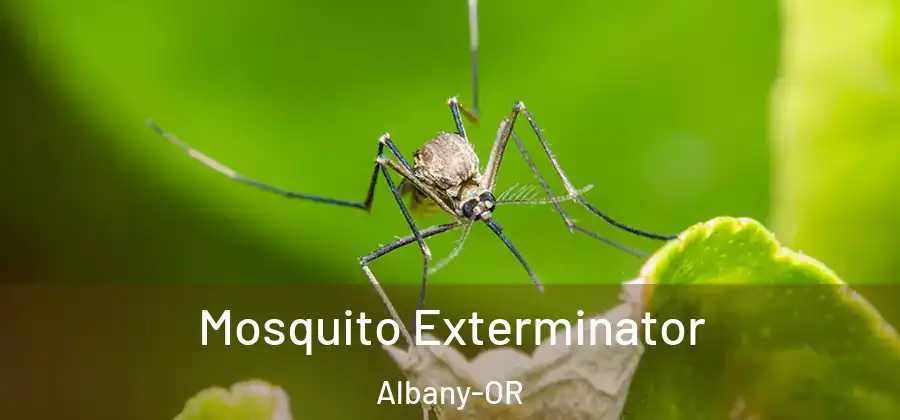  Mosquito Exterminator Albany-OR