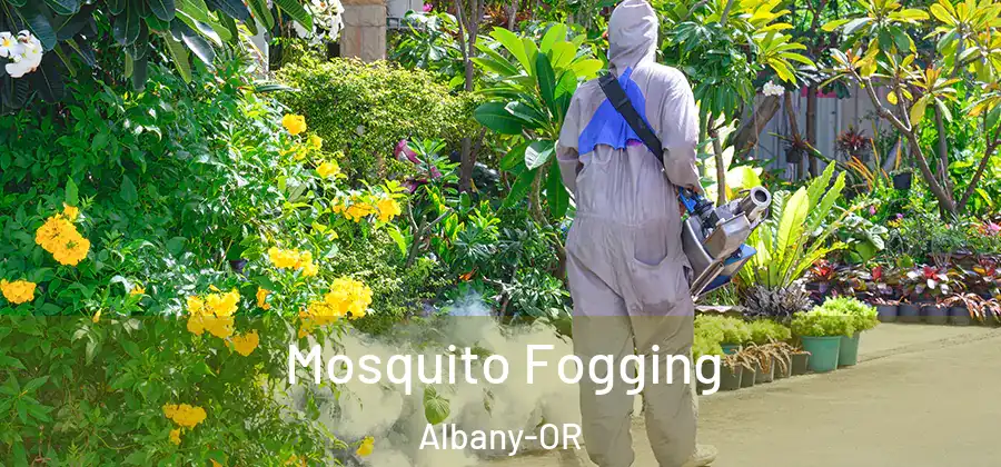  Mosquito Fogging Albany-OR